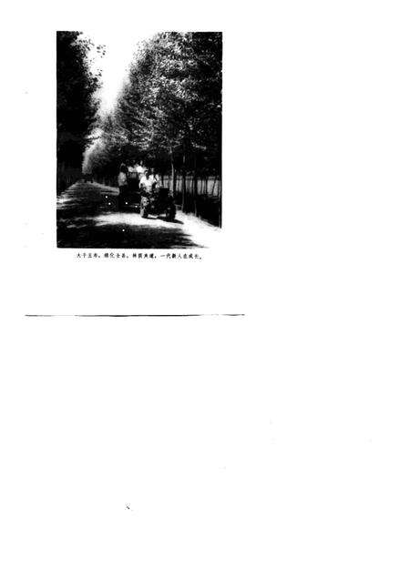 1976版农业学大寨先进典型  涡阳大地披绿装.pdf电子版_安徽省志预览图2
