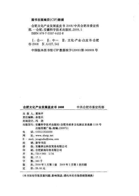 2009版合肥文化产业发展蓝皮书  2008.pdf电子版_安徽省志预览图2