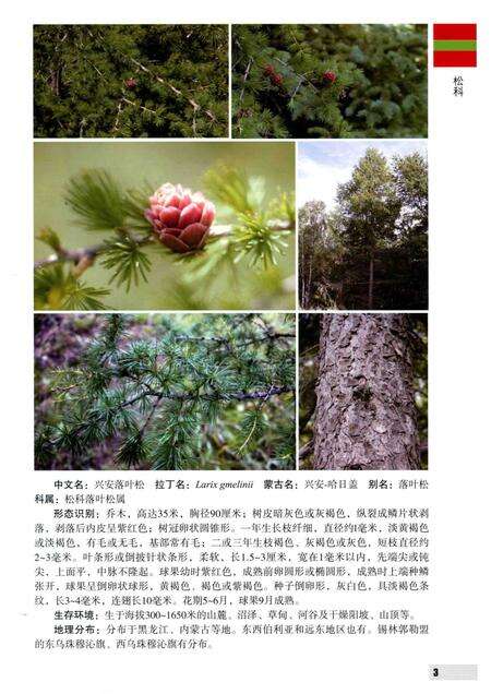 2016-内蒙古自治区锡林郭勒盟木本植物图鉴.pdf电子版_内蒙古志预览图2