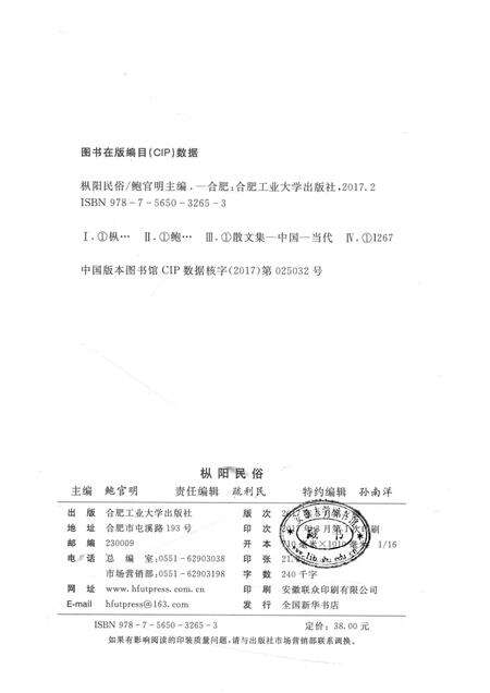 2017版枞阳民俗.pdf电子版_安徽省志预览图2