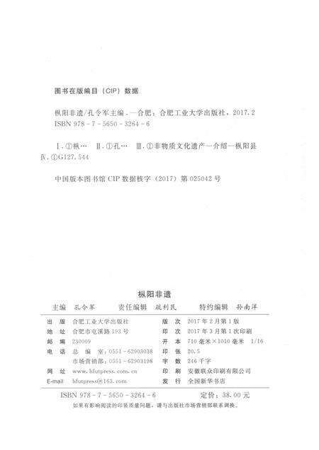 2017版枞阳非遗.pdf电子版_安徽省志预览图2