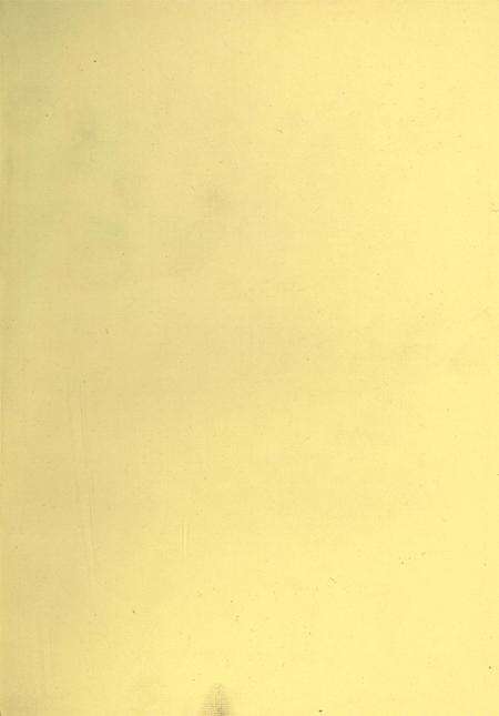 唐钢沧桑 唐山钢铁（集团）公司史志 第二卷（1990～1995）.pdf电子版_河北省志预览图2