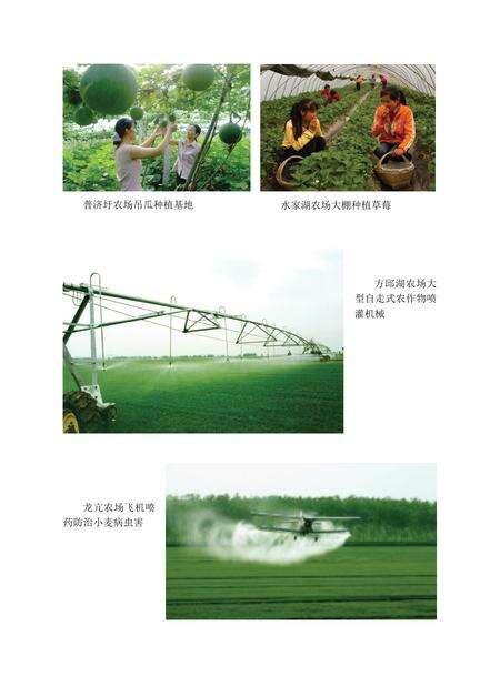 安徽省志农垦志.pdf电子版_安徽省志预览图2