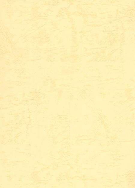 廊坊年鉴 第二卷.pdf电子版_河北省志预览图2