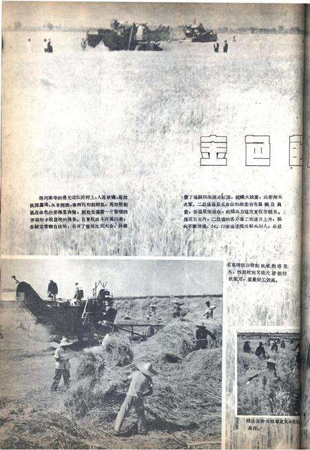 新疆画报1960年第08期.pdf电子版_新疆维吾尔族自治区志预览图2