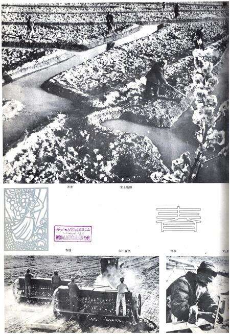 新疆画报1962年第04期.pdf电子版_新疆维吾尔族自治区志预览图2