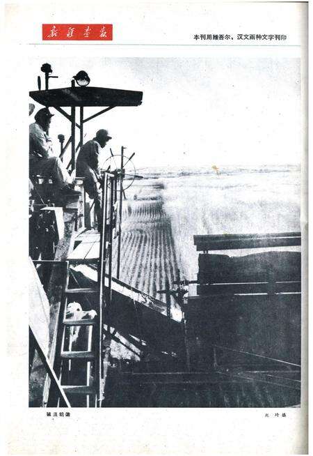 新疆画报1962年第06期.pdf电子版_新疆维吾尔族自治区志预览图2