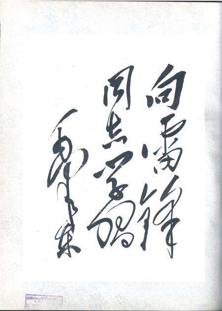新疆画报1963年第02期.pdf电子版_新疆维吾尔族自治区志预览图2