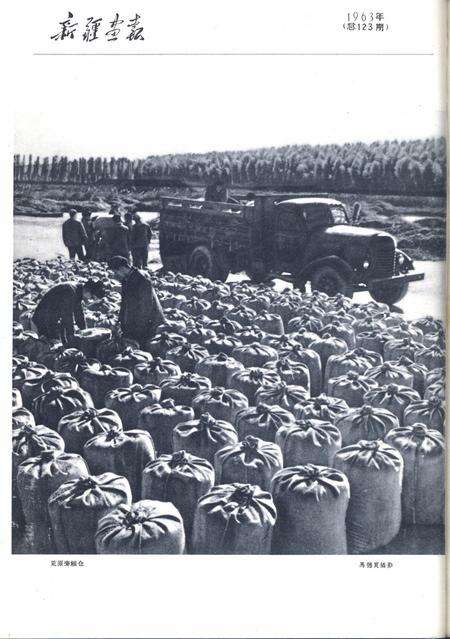 新疆画报1963年第06期.pdf电子版_新疆维吾尔族自治区志预览图1
