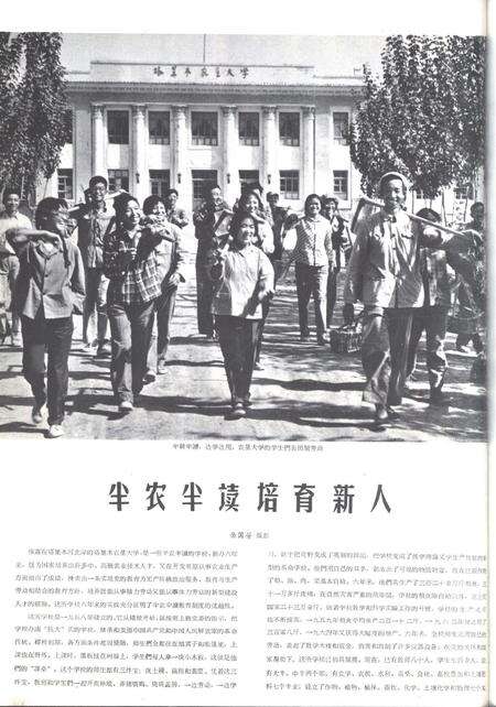 新疆画报1964年第06期.pdf电子版_新疆维吾尔族自治区志预览图2