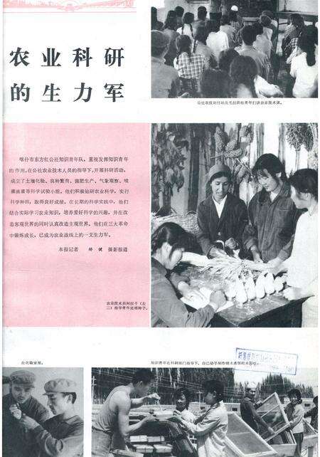 新疆画报1979年第03期.pdf电子版_新疆维吾尔族自治区志预览图2