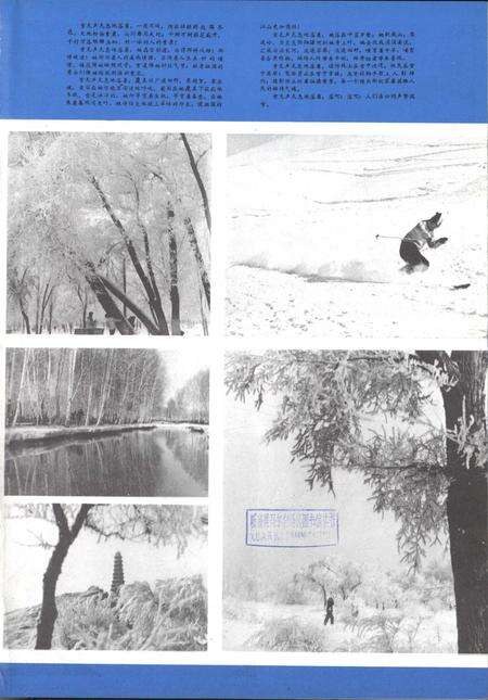 新疆画报1981年第02期.pdf电子版_新疆维吾尔族自治区志预览图2