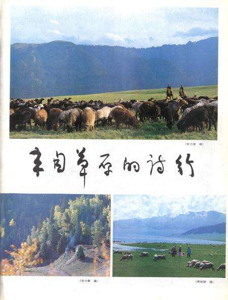 新疆画报1986年第05期.pdf电子版_新疆维吾尔族自治区志预览图2