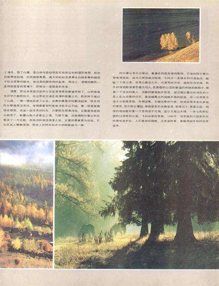 新疆画报1987年第01期.pdf电子版_新疆维吾尔族自治区志预览图2