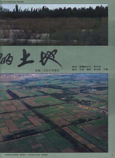 新疆画报1992年第04期.pdf电子版_新疆维吾尔族自治区志预览图2