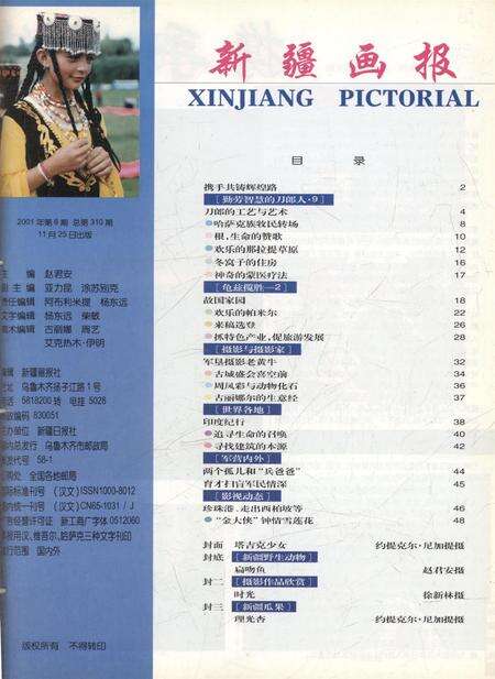 新疆画报2001年第06期.pdf电子版_新疆维吾尔族自治区志预览图2