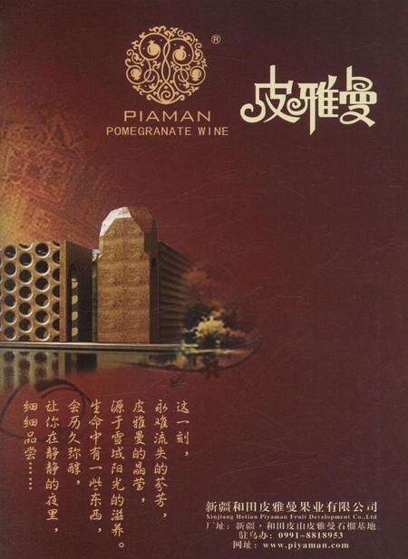 新疆画报2008年第06期.pdf电子版_新疆维吾尔族自治区志预览图2