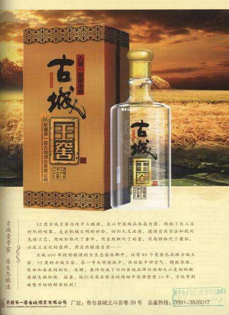 新疆画报2011年第05期.pdf电子版_新疆维吾尔族自治区志预览图2