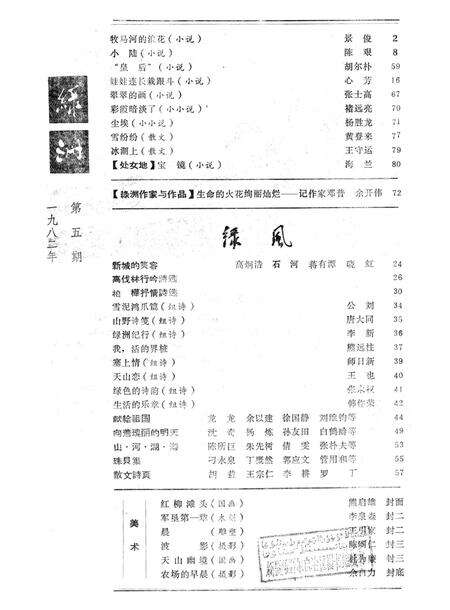 新疆绿洲1982年第05期.pdf电子版_新疆维吾尔族自治区志预览图2