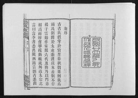 湖南蔡氏族谱-蔡氏支谱[7卷首3卷峰房4卷].pdf电子版预览图2