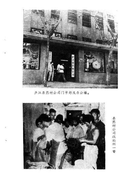 1986版庐江县药志.pdf电子版_安徽省志预览图3
