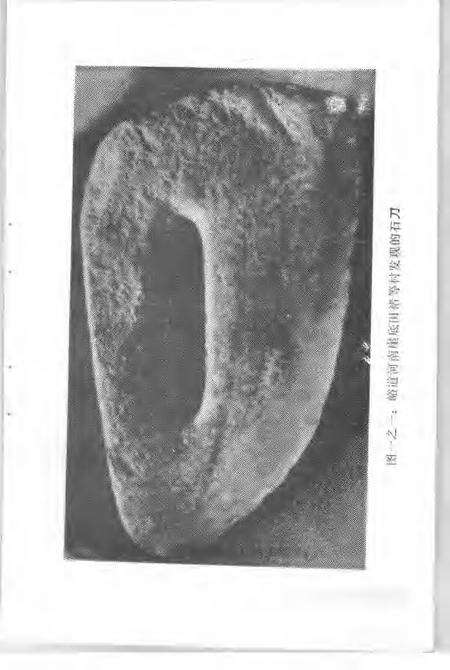 1987-汾阳文史资料  第3辑.pdf电子版_山西省志预览图3