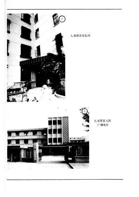 1988-奉贤县文化志.pdf电子版_上海市志预览图3