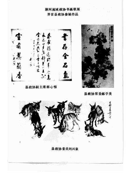 1988版界首史话  第2辑.pdf电子版_安徽省志预览图3