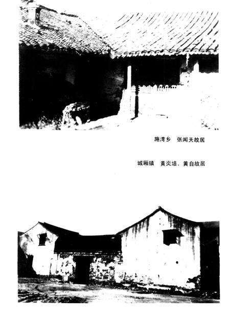 1989-川沙县文化志.pdf电子版_上海市志预览图3