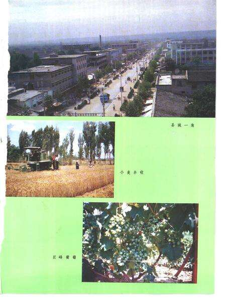 1989-河津县志.pdf电子版_山西省志预览图3