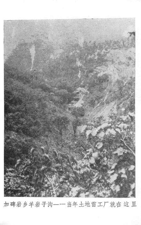 1989-绥中地方党史资料  2  凌青绥抗日游击根据地.pdf电子版_辽宁省志预览图3