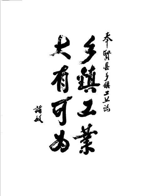 1990-上海市奉贤县乡镇工业志.pdf电子版_上海市志预览图3