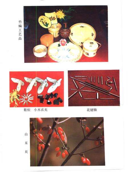 1991版石台县志.pdf电子版_安徽省志预览图3