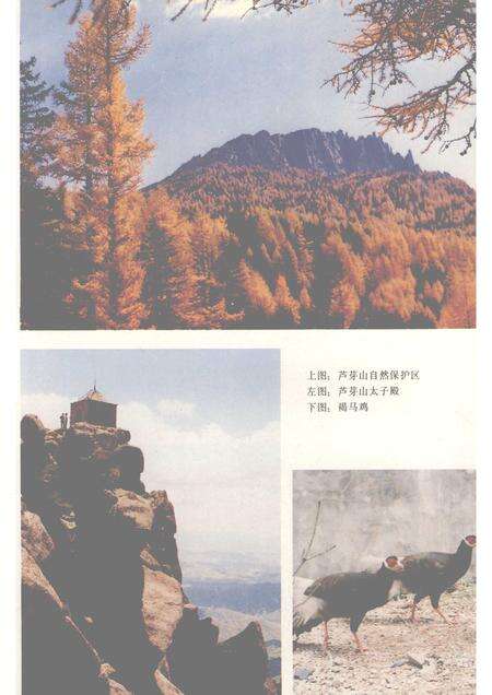 1992-五寨县志.pdf电子版_山西省志预览图3