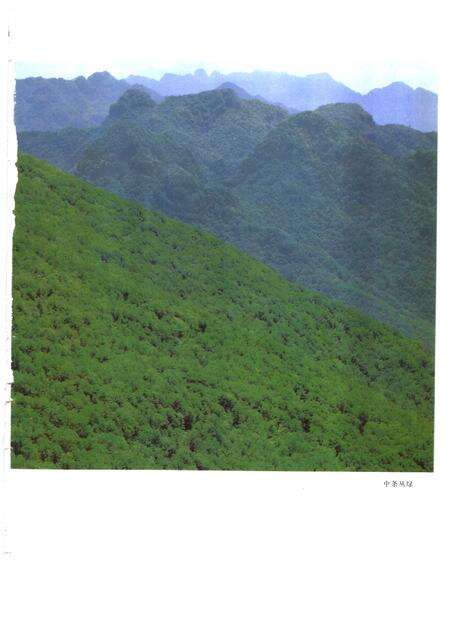 1992-山西通志  第9卷  林业志.pdf电子版_山西省志预览图3