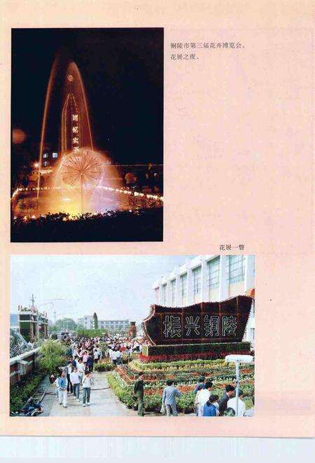 1993版铜陵年鉴  1992.pdf电子版_安徽省志预览图3