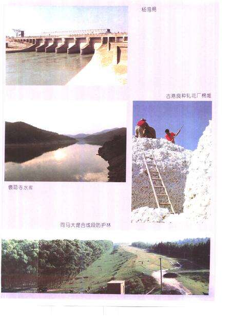 1995版望江县志.pdf电子版_安徽省志预览图3