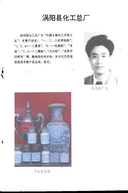 1995版江淮文史  阜阳在腾飞.pdf电子版_安徽省志预览图3