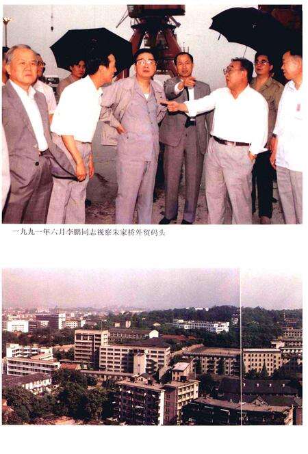 1995版芜湖市志  上.pdf电子版_安徽省志预览图3