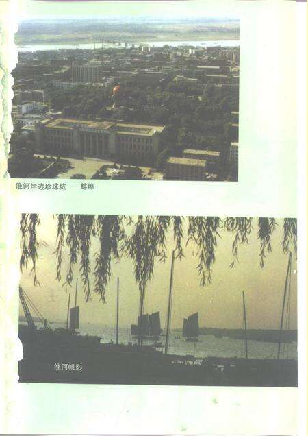 1995版蚌埠市志.pdf电子版_安徽省志预览图3
