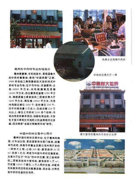 1996版亳州市工商行政管理志.pdf电子版_安徽省志预览图3