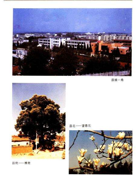 1996版怀宁县志.pdf电子版_安徽省志预览图3