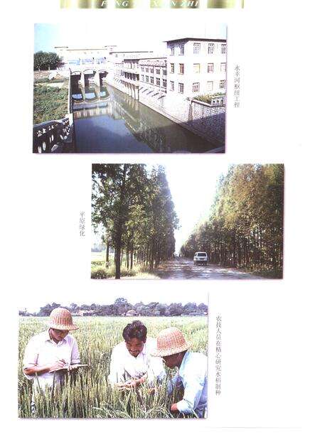 1998版凤台县志.pdf电子版_安徽省志预览图3