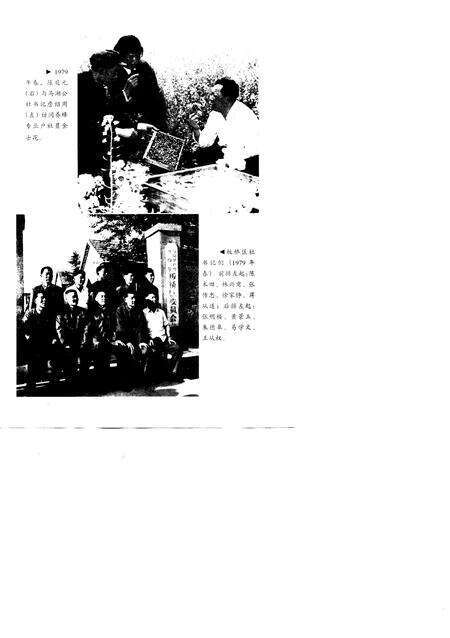 1998版起源  凤阳大包干实录.pdf电子版_安徽省志预览图3