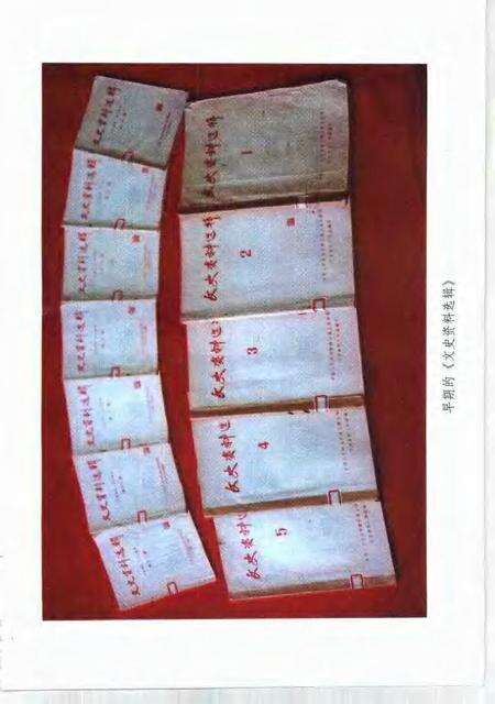 1999-20世纪上海文史资料文库  第1辑  政治军事.pdf电子版_上海市志预览图3