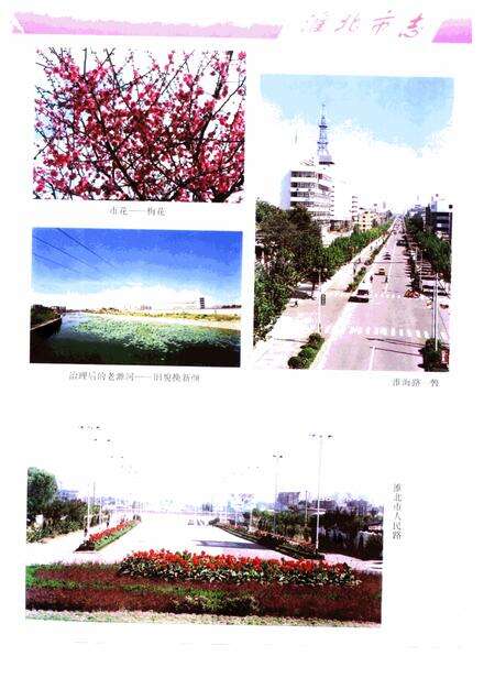 1999版淮北市志.pdf电子版_安徽省志预览图3