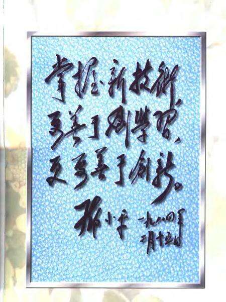 2000-宝钢志  1993-1998.pdf电子版_上海市志预览图3