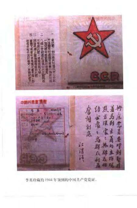 2001-嘉定文史  纪念中国共产党诞生八十周年专辑  第18辑.pdf电子版_上海市志预览图3