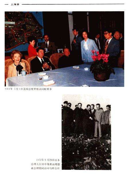 -上海县要览.pdf电子版_上海市志预览图3