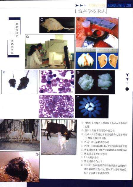 2003-上海科学技术志  1991-1999.pdf电子版_上海市志预览图3